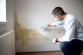 Best Asbestos and Lead Testing During Mold Inspection  in Rosemont, CA